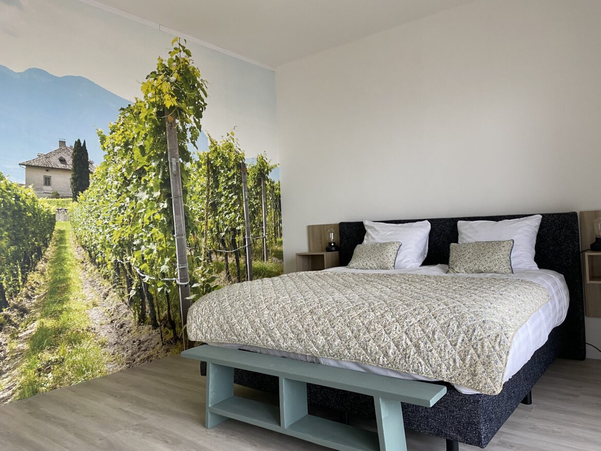 Kamer Vigneto